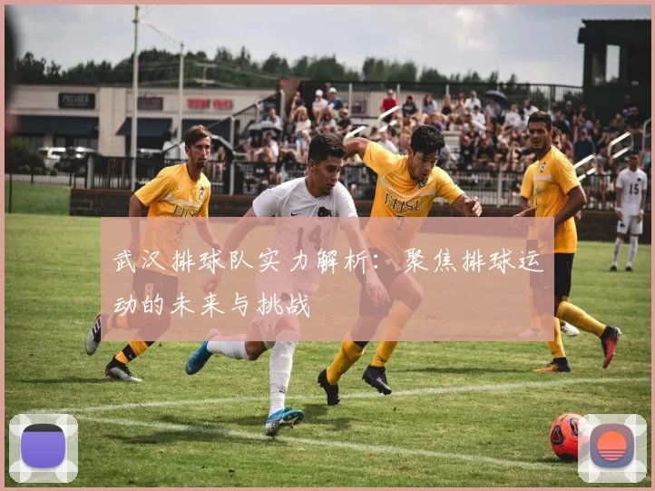 武汉排球队实力解析：聚焦排球运动的未来与挑战