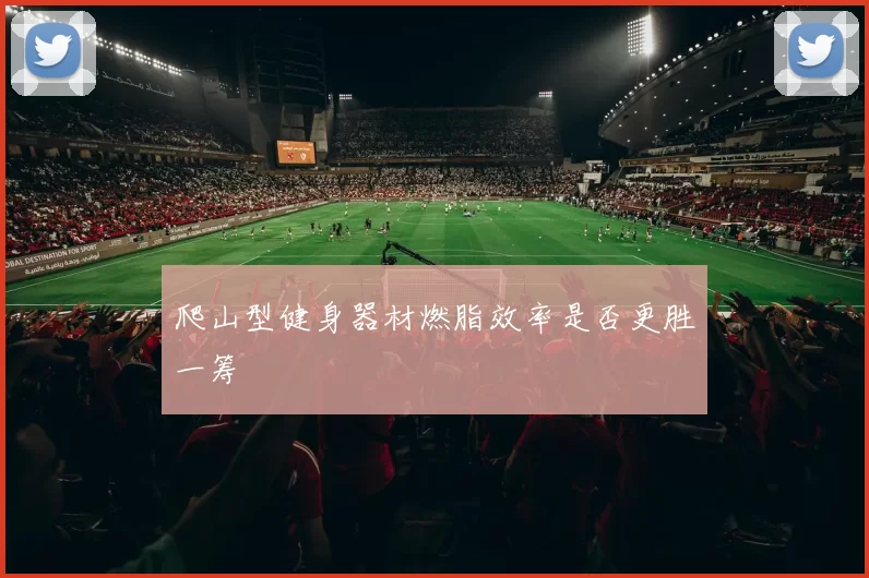爬山型健身器材燃脂效率是否更胜一筹