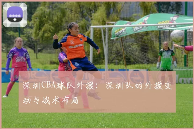 深圳CBA球队外援：深圳队的外援变动与战术布局