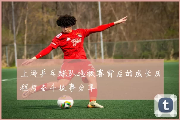 上海乒乓球队选拔赛背后的成长历程与奋斗故事分享