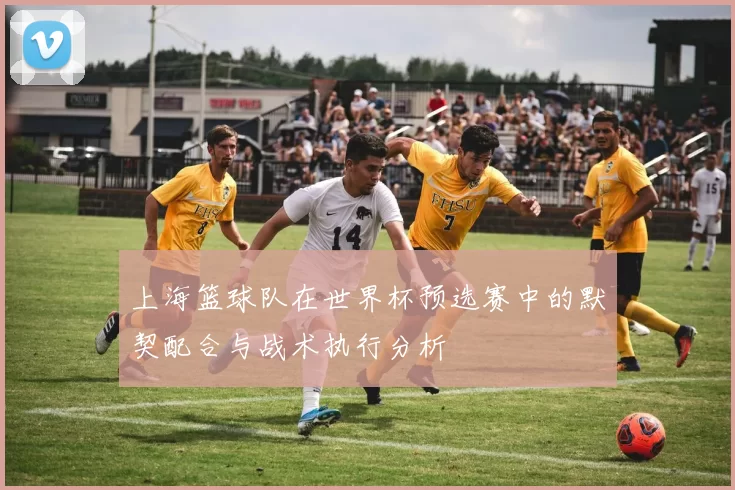上海篮球队在世界杯预选赛中的默契配合与战术执行分析