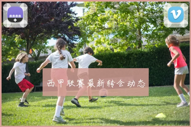 西甲联赛最新转会动态