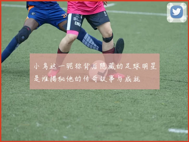 小鸟这一昵称背后隐藏的足球明星是谁揭秘他的传奇故事与成就
