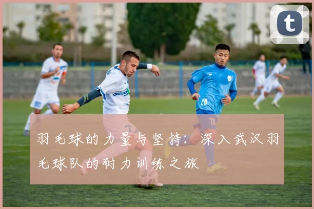 羽毛球的力量与坚持：深入武汉羽毛球队的耐力训练之旅
