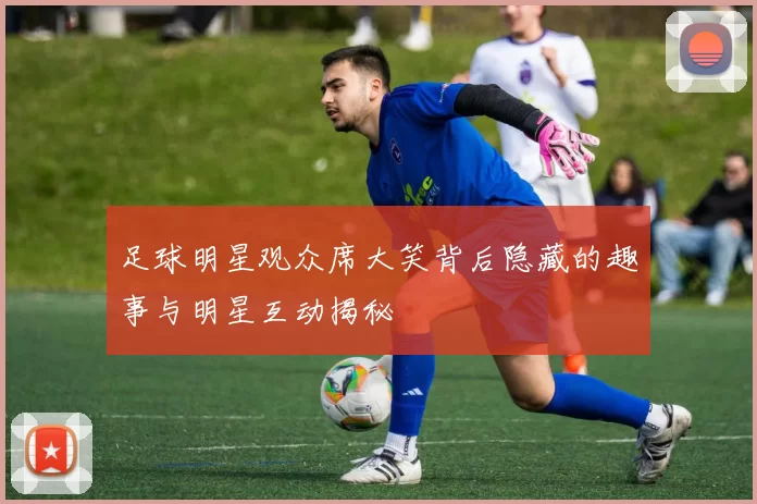 足球明星观众席大笑背后隐藏的趣事与明星互动揭秘