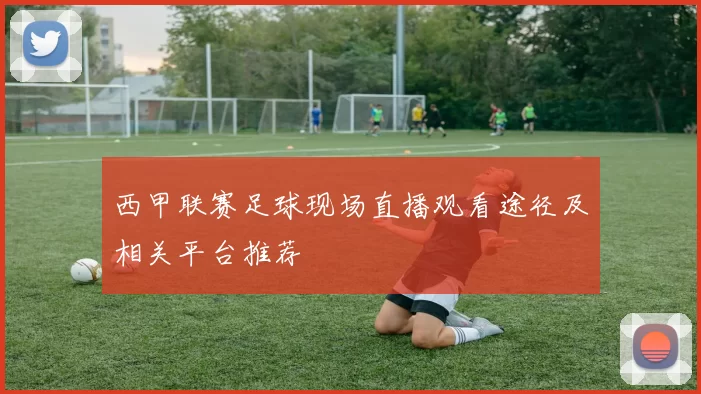 西甲联赛足球现场直播观看途径及相关平台推荐