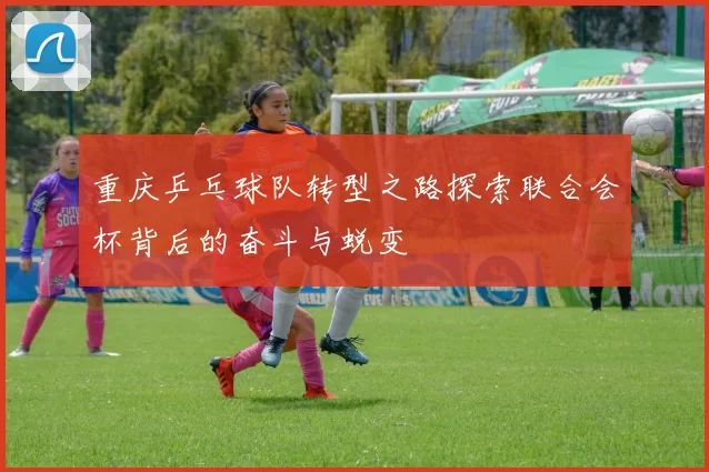 重庆乒乓球队转型之路探索联合会杯背后的奋斗与蜕变