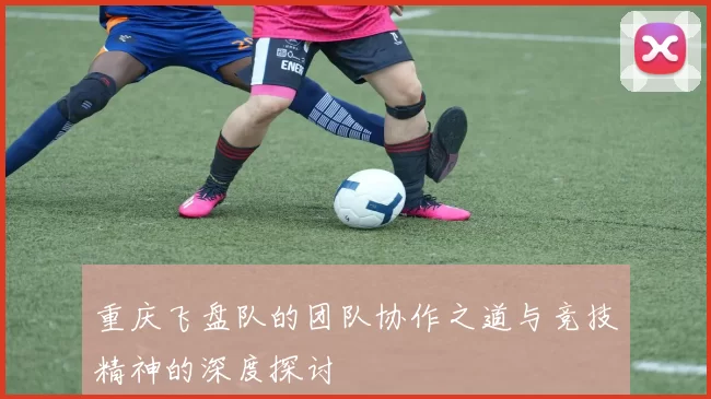 重庆飞盘队的团队协作之道与竞技精神的深度探讨