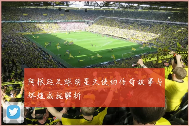 阿根廷足球明星天使的传奇故事与辉煌成就解析