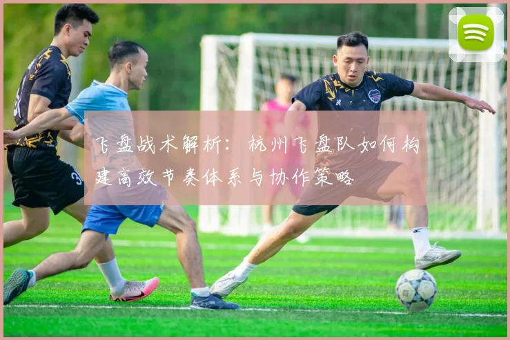 飞盘战术解析：杭州飞盘队如何构建高效节奏体系与协作策略