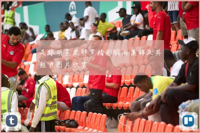 足球明星皮耶罗精彩瞬间集锦及其经典图片欣赏